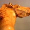 Horse Woodcarving